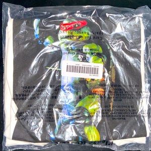 Supreme Raphael White size L Tee